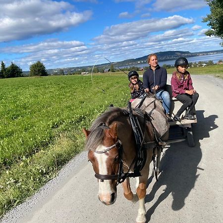 Scenic Small Guesthouse On Horse Farm By The Lake Frösö 外观 照片