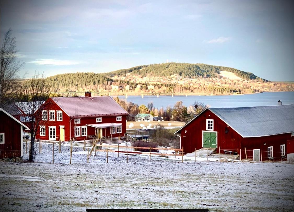 Scenic Small Guesthouse On Horse Farm By The Lake Frösö 外观 照片