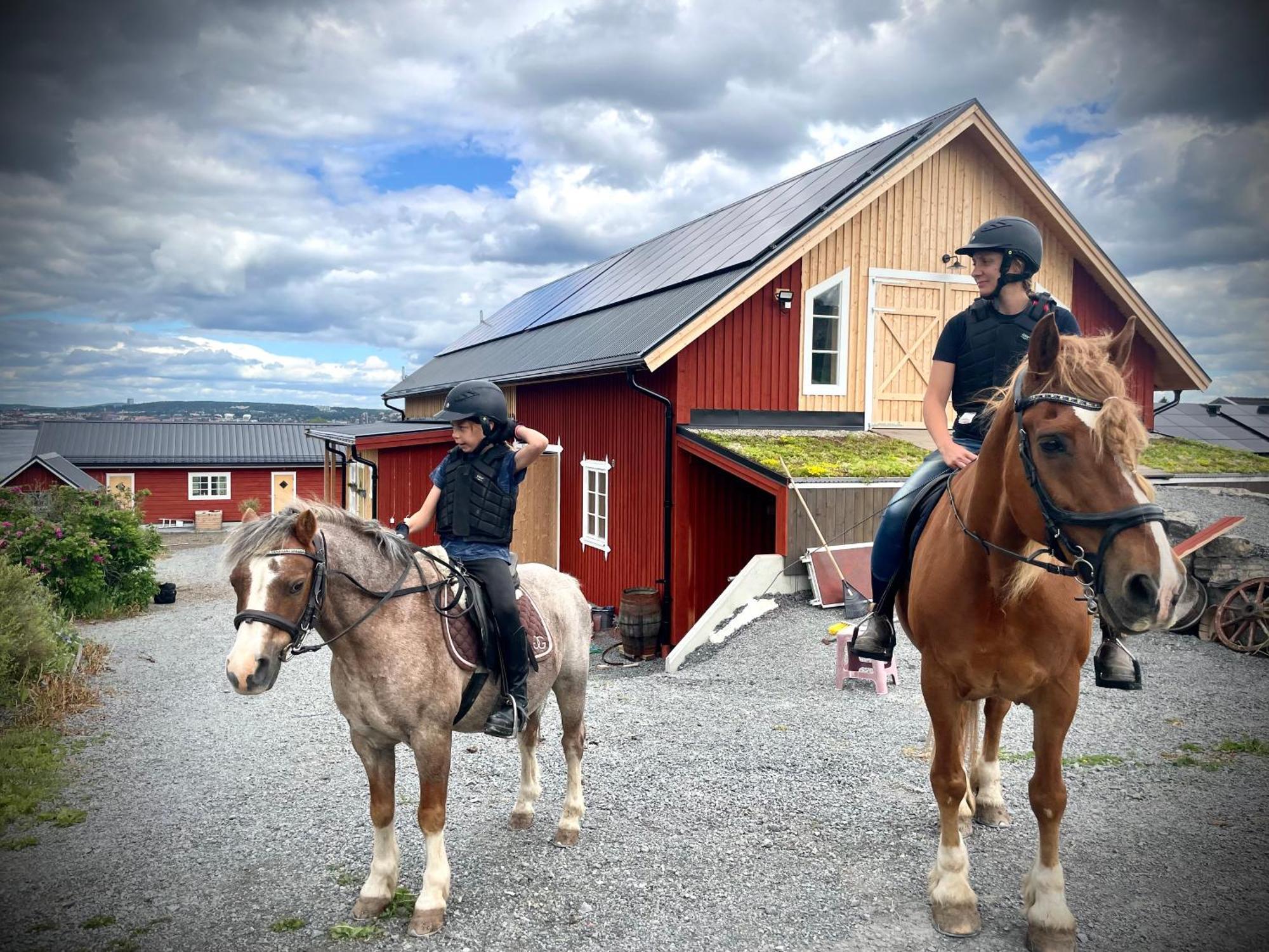 Scenic Small Guesthouse On Horse Farm By The Lake Frösö 外观 照片