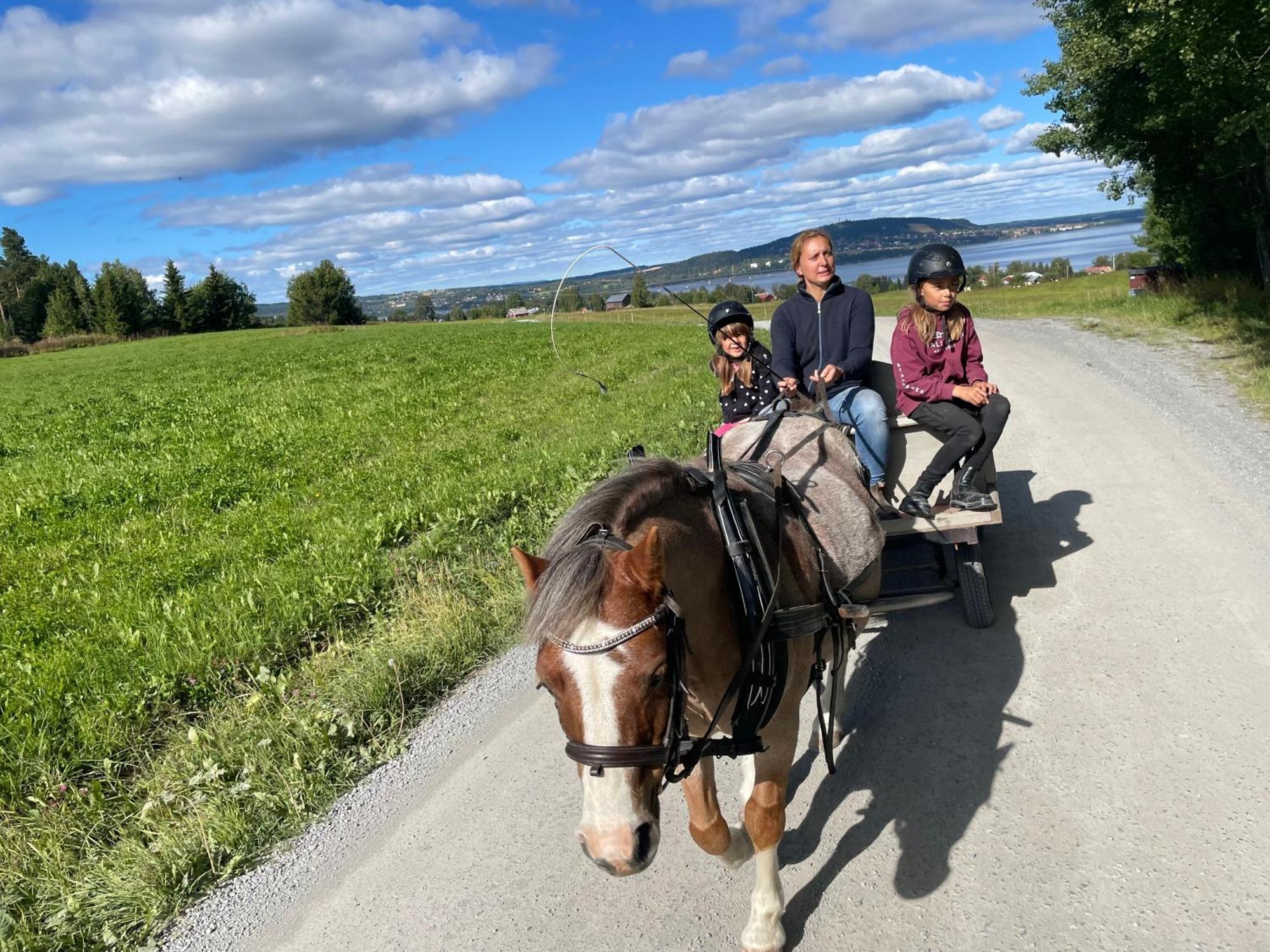 Scenic Small Guesthouse On Horse Farm By The Lake Frösö 外观 照片