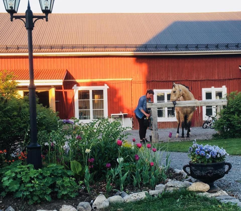 Scenic Small Guesthouse On Horse Farm By The Lake Frösö 外观 照片