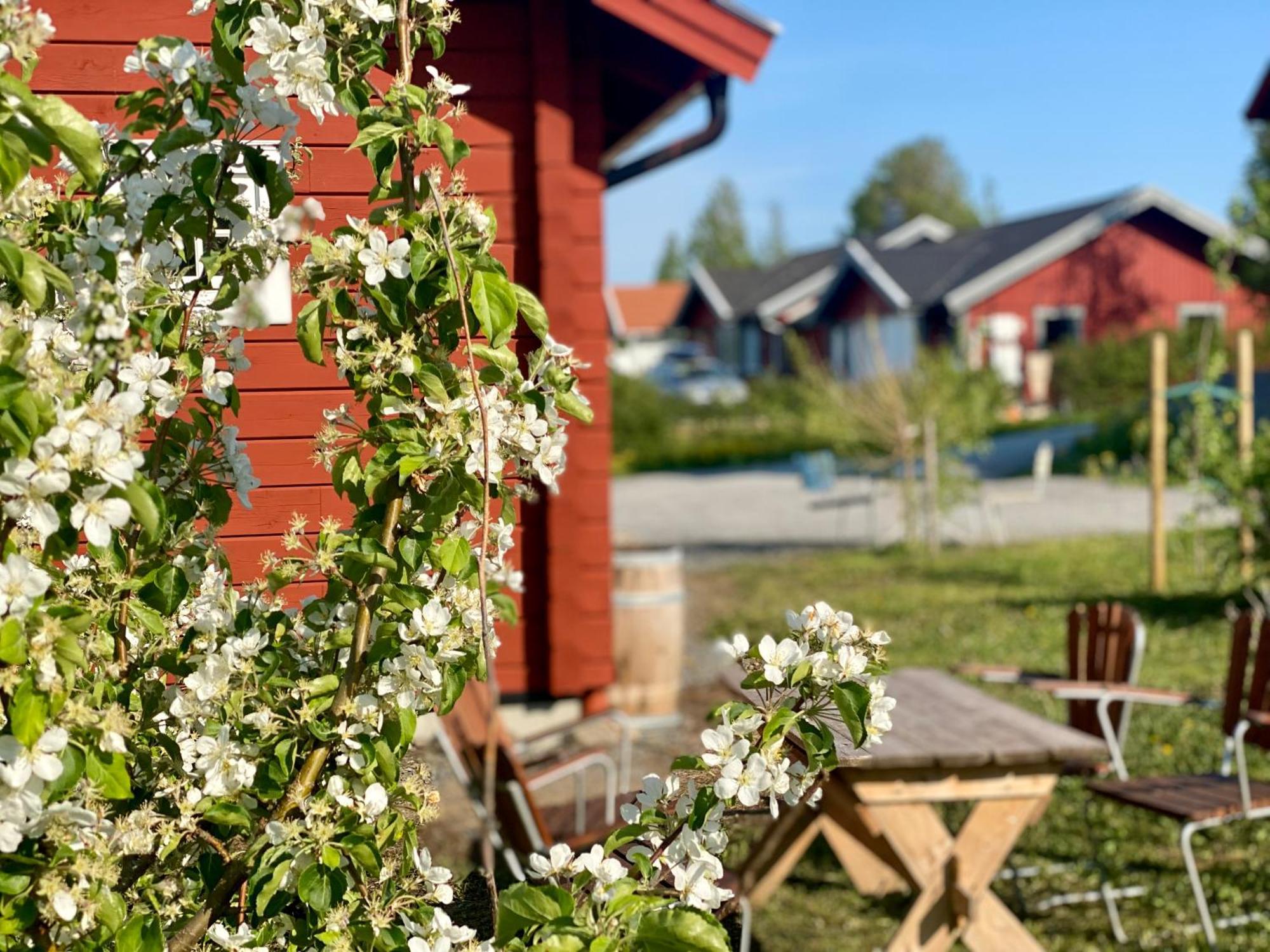 Scenic Small Guesthouse On Horse Farm By The Lake Frösö 外观 照片
